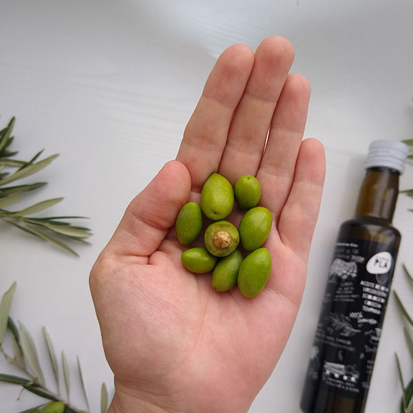 Aceite de oliva virgen extra 250ml tipo Bertoli con tapón no rellenable