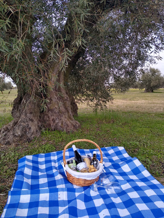 Oleoturismo_toledo_pla_picnic