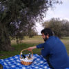 Oleoturismo_toledo_pla_picnic