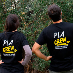 Camiseta Proyecto Los Aires Crew