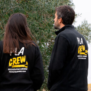 Forro Polar Proyecto Los Aires Crew