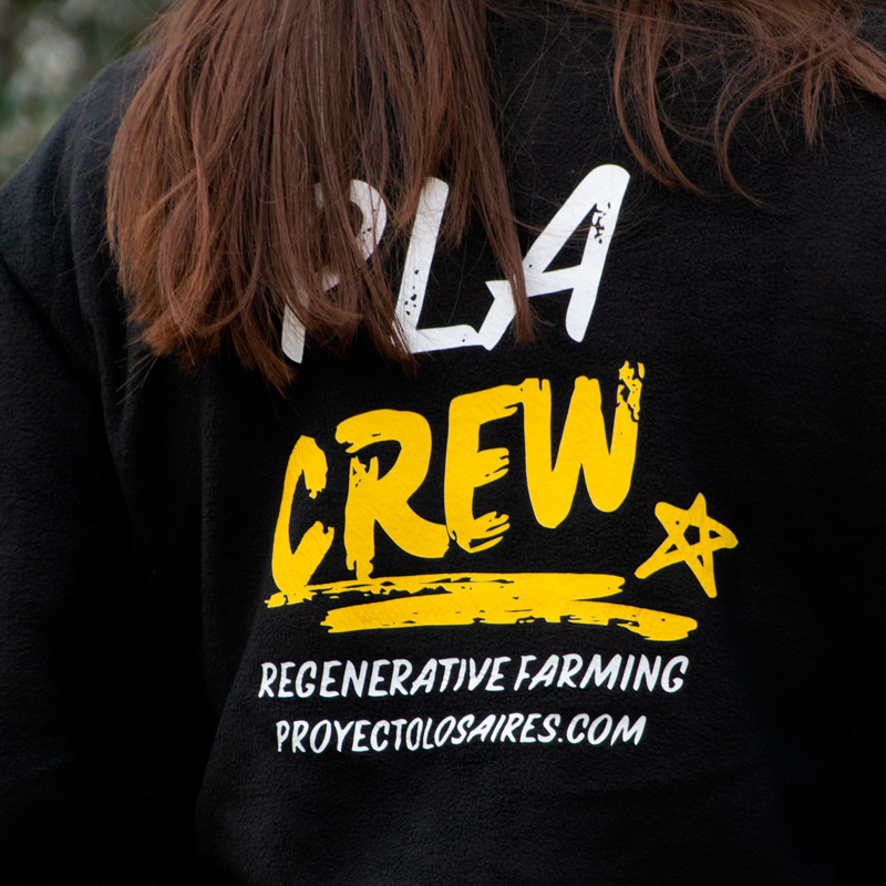 Forro Polar Proyecto Los Aires Crew Forro Polar Proyecto Los Aires Crew - Imagen 2